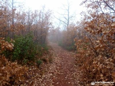 Robledales Riaza-Ermita Hontanares; sierra de madrid parque nacional ordesa y monte perdido nuria gi